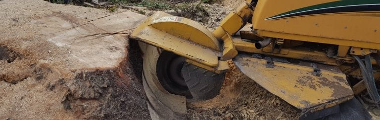 stump grinding newcastle