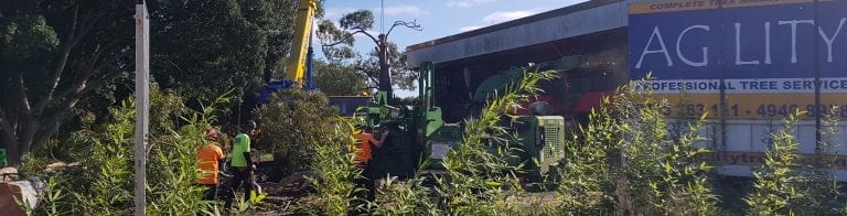 mechanical trittering newcastle and lake macquarie