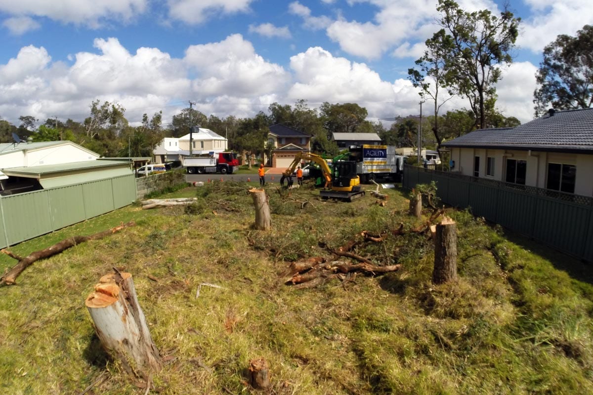 Land & Block Clearing Newcastle & Lake Macquarie Agility Trees