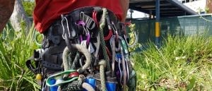 civil tree removal newcastle