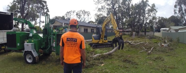 land development arborists newcastle